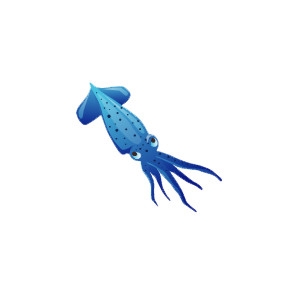 Blue Squid